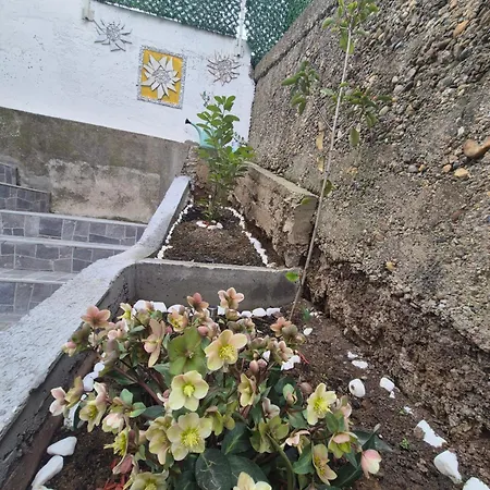 Apartman Kanarinac Belgrád