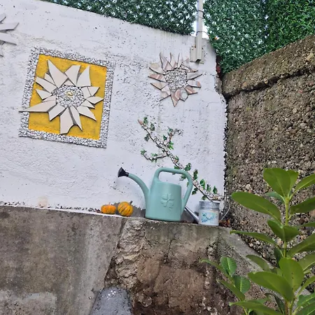 Apartman Kanarinac *