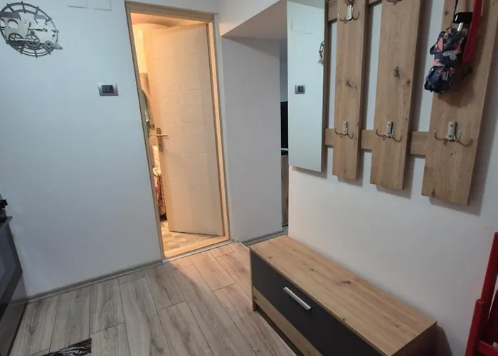 Kanarinac * 베오그라드