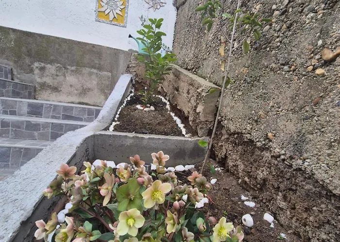 아파트 Kanarinac 베오그라드