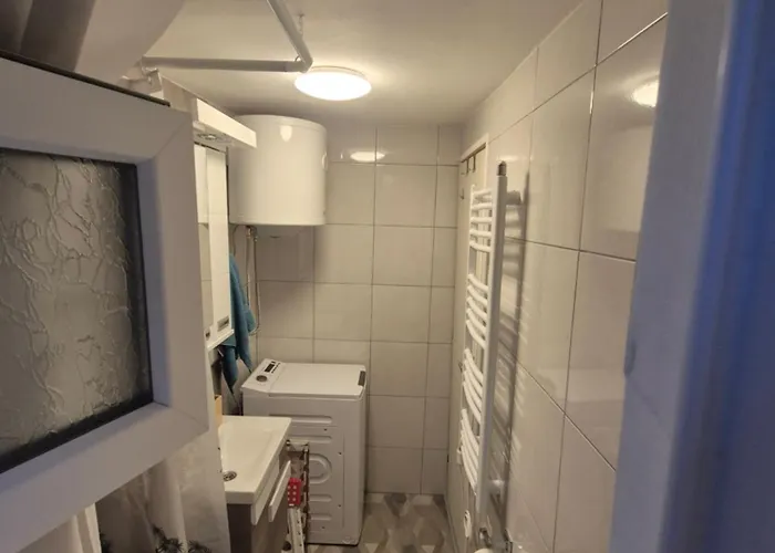 Kanarinac 베오그라드