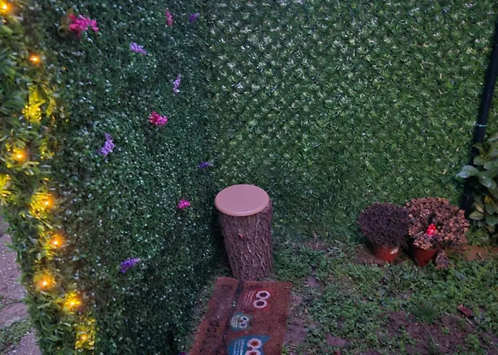 Kanarinac 베오그라드